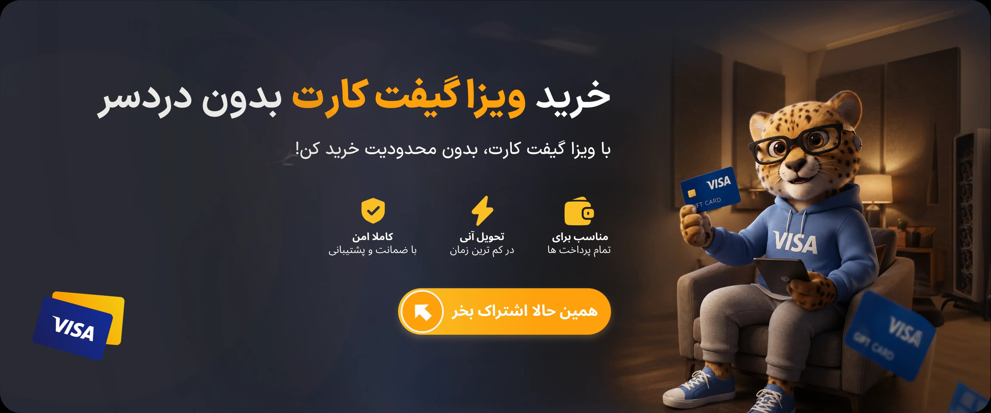 visa banner